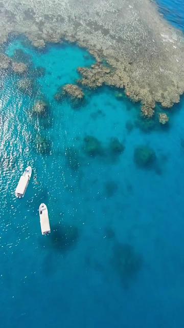 Dive into a world beneath the surface in the Red Sea,